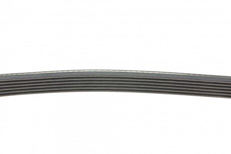 Привідний ремінь генератора dayco 6PK923