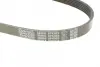 Ремень поликлин. (пр-во DAYCO) Dayco 6PK923 (фото 4)