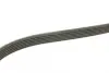 Ремень поликлин. AUDI, FIAT (пр-во DAYCO) dayco 6PK888
