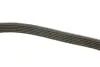 Ремень поликлин. CHEVROLET CAPTIVA 3.2 (пр-во DAYCO) dayco 6PK2400
