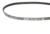 Ремень поликлин. CHEVROLET KALOS, MATIZ, SPARK (пр-во DAYCO) dayco 4PK830