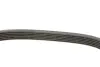 Ремень поликлин. CHEVROLET LACETTI, NUBIRA (пр-во DAYCO) dayco 6PK1725