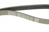 Ремень поликлин. CHEVROLET LACETTI, NUBIRA (пр-во DAYCO) dayco 6PK1725