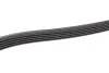 Ремень поликлин. DAEWOO ESPERO, LANOS, NEXIA (пр-во DAYCO) dayco 5PK1013