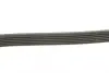 Ремень поликлин. DAEWOO LEGANZA, NUBIRA (пр-во DAYCO) Dayco 6PK1900 (фото 2)