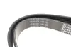 Ремень поликлин. DAEWOO Musso (FJ) 3.2 (пр-во DAYCO) dayco 6PK2100
