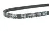 Ремень поликлин. (пр-во DAYCO) dayco 3PK500
