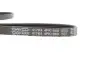 Ремень поликлин. (пр-во DAYCO) dayco 4PK1060