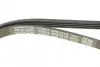 Ремень поликлин. (пр-во DAYCO) Dayco 4PK1215 (фото 4)