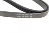 Ремень поликлин. (пр-во DAYCO) Dayco 4PK1520 (фото 3)