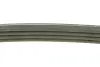 Ремень поликлин. (пр-во DAYCO) dayco 4PK922EE