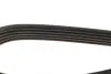 Ремень поликлин. (пр-во DAYCO) dayco 5PK1025