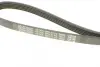 Ремень поликлин. (пр-во DAYCO) Dayco 5PK1110 (фото 3)