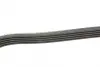 Ремень поликлин. (пр-во DAYCO) dayco 5PK1125