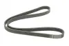 Ремень поликлин. (пр-во DAYCO) dayco 5PK1125