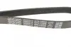 Ремень поликлин. (пр-во DAYCO) Dayco 5PK1200 (фото 3)