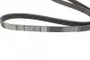 Ремень поликлин. (пр-во DAYCO) dayco 5PK1210