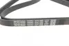 Ремень поликлин. (пр-во DAYCO) dayco 5PK1588