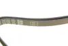 Ремень поликлин. (пр-во DAYCO) Dayco 5PK1650 (фото 4)