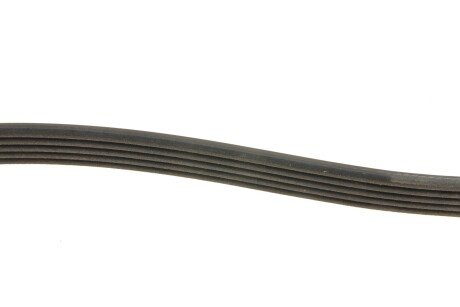 Привідний ремінь генератора dayco 5PK1850