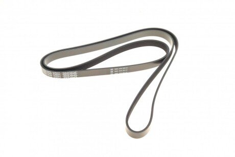 Приводной ремень генератора dayco 5PK1885