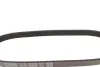 Ремень поликлин. (пр-во DAYCO) dayco 5PK688