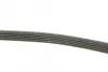 Ремень поликлин. (пр-во DAYCO) dayco 5PK810
