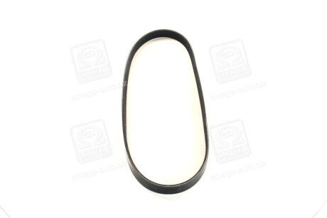 Привідний ремінь генератора dayco 5PK825