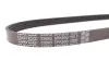 Ремень поликлин. (пр-во DAYCO) dayco 5PK853