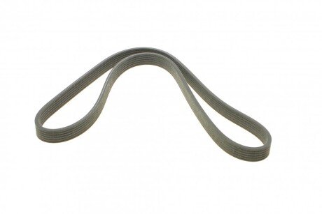 Привідний ремінь генератора dayco 6DPK1195