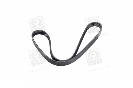 Привідний ремінь генератора dayco 6PK1005