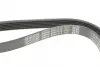 Ремень поликлин. (пр-во DAYCO) dayco 6PK1013