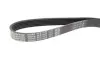 Ремень поликлин. (пр-во DAYCO) dayco 6PK1025