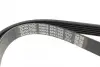 Ремень поликлин. (пр-во DAYCO) dayco 6PK1035