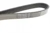 Ремень поликлин. (пр-во DAYCO) dayco 6PK1053