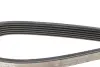 Ремень поликлин. (пр-во DAYCO) dayco 6PK1053