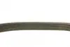 Ремень поликлин. (пр-во DAYCO) dayco 6PK1065