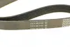 Ремень поликлин. (пр-во DAYCO) dayco 6PK1065