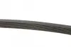 Ремень поликлин. (пр-во DAYCO) dayco 6PK1100