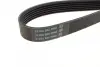 Ремень поликлин. (пр-во DAYCO) Dayco 6PK1105 (фото 2)