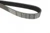 Ремень поликлин. (пр-во DAYCO) Dayco 6PK1105 (фото 3)
