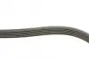 Ремень поликлин. (пр-во DAYCO) dayco 6PK1115