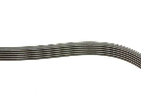 Привідний ремінь генератора dayco 6PK1115