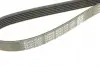 Ремень поликлин. (пр-во DAYCO) dayco 6PK1115