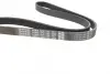 Ремень поликлин. (пр-во DAYCO) dayco 6PK1125