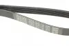 Ремень поликлин. (пр-во DAYCO) dayco 6PK1130
