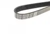 Ремень поликлин. (пр-во DAYCO) dayco 6PK1160