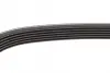 Ремень поликлин. (пр-во DAYCO) Dayco 6PK1195 (фото 3)