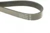 Ремень поликлин. (пр-во DAYCO) Dayco 6PK1200 (фото 3)