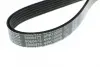 Ремень поликлин. (пр-во DAYCO) Dayco 6PK1200 (фото 4)
